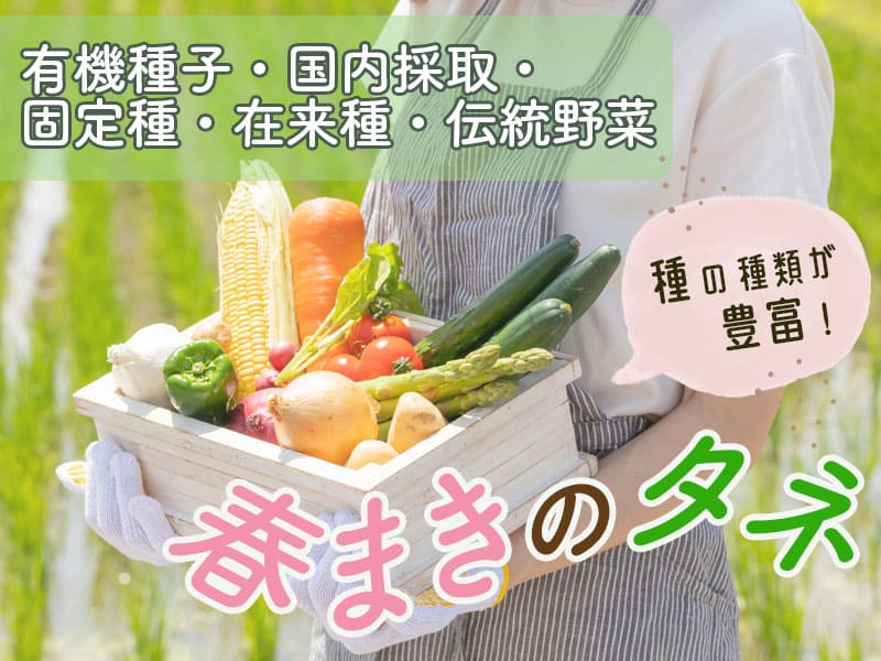 春撒きの種
