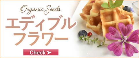 エディブルフラワー