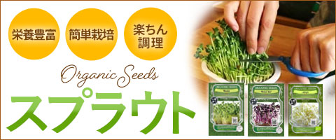 スプラウト