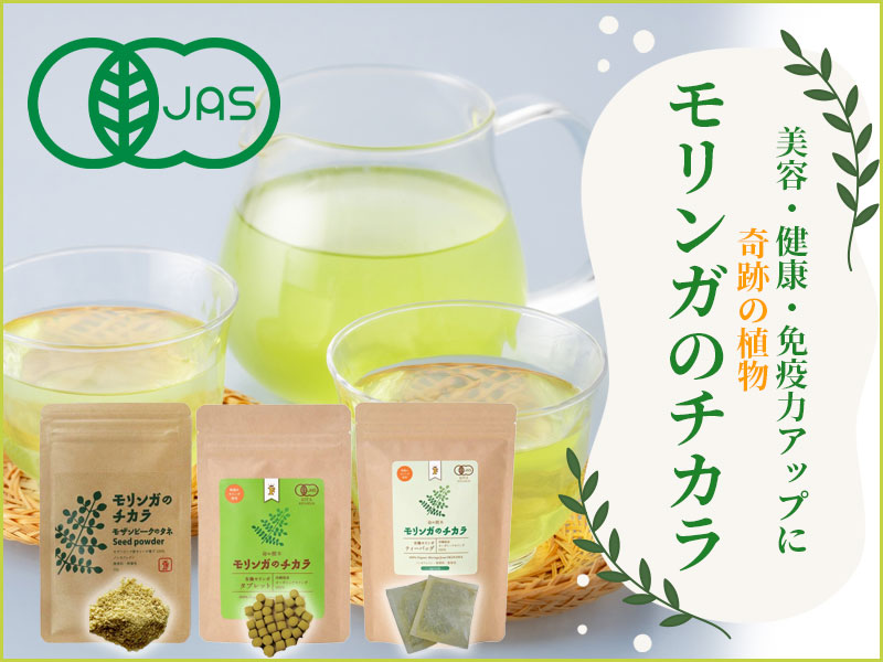 /banner/ss_moringa2024.jpg