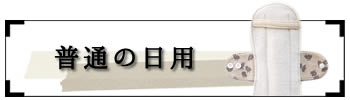 経血量 普通の日用