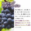 天然フルーツのかき氷シロップ氷屋さんちの削氷〔けずりひ〕生シロップナガノパープル（信州ぶどう）250g【冷凍】