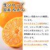 【送料込】天然フルーツのかき氷シロップ氷屋さんちの削氷〔けずりひ〕生シロップ6個セット【冷凍】