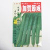 在来固定種野菜の種「加賀節成きゅうり」2ml〔約40粒〕畑懐〔はふう〕