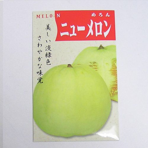 在来固定種野菜の種「ニューメロン」1.5ml〔約30粒〕畑懐〔はふう〕
