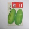 在来固定種野菜の種「沼目つけうり〔漬物用〕」1.5ml〔約30粒〕畑懐〔はふう〕