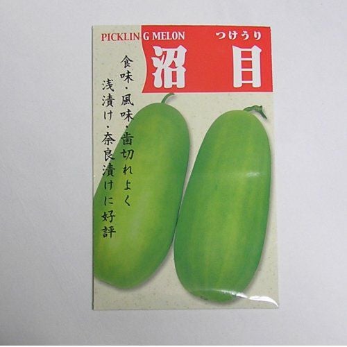 在来固定種野菜の種「沼目つけうり〔漬物用〕」1.5ml〔約30粒〕畑懐〔はふう〕