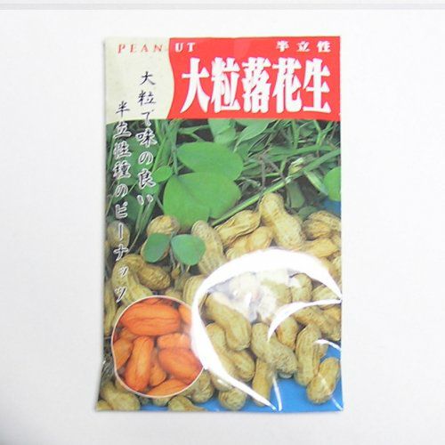 在来固定種野菜の種「大粒落花生」80ml〔約50粒〕畑懐〔はふう〕