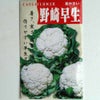 在来固定種野菜の種「野崎早生カリフラワー」1.5ml〔約230粒〕畑懐〔はふう〕