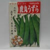 在来固定種野菜の種「大虎うずら豆」40ml〔約55粒〕畑懐〔はふう〕