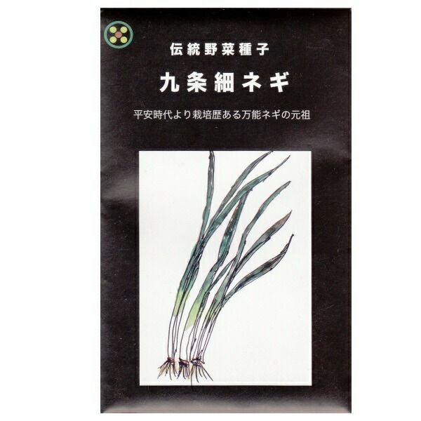 固定種】九条細ネギ(葉ねぎ)の種7ml(約1100粒） 畑懐〔はふう〕の種