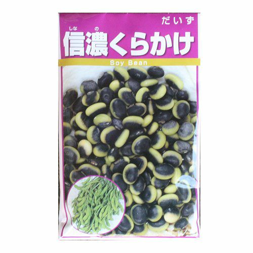 在来固定種野菜の種「くらかけ大豆」80ml〔約200粒〕畑懐〔はふう〕