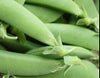 在来種/固定種/野菜の種「フルーツスナップえんどう」20ml約60粒/畑懐〔はふう〕