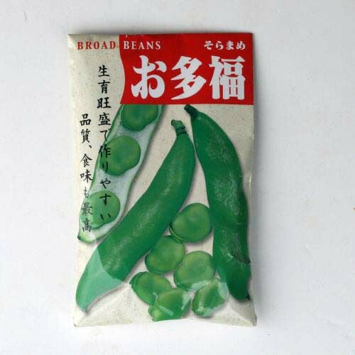 【秋蒔き野菜】在来固定種野菜の種「おたふくソラマメ」50ml〔約130粒〕畑懐〔はふう〕