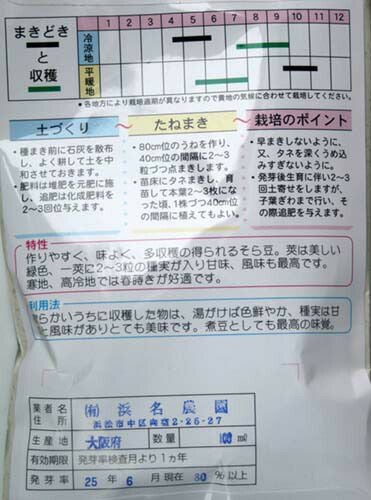 【秋蒔き野菜】在来固定種野菜の種「おたふくソラマメ」50ml〔約130粒〕畑懐〔はふう〕