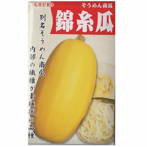 在来固定種野菜の種「錦糸瓜〔そうめんかぼちゃ〕」10ml〔約25粒〕畑懐〔はふう〕