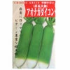 【秋蒔き野菜】在来固定種野菜の種「打木源助大根」13ml〔約580粒〕畑懐〔はふう〕