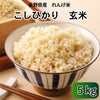 長野県産れんげ米玄米・5kg