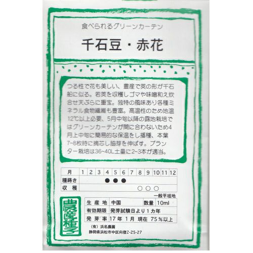 在来固定種野菜の種「つるなし本金時豆」40ml〔約55粒〕畑懐〔はふう〕