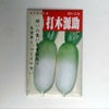 【秋蒔き野菜】在来固定種野菜の種「打木源助大根」13ml〔約580粒〕畑懐〔はふう〕