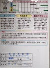 在来固定種野菜の種「阿波晩生大根」5ml畑懐〔はふう〕