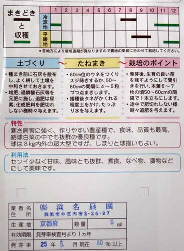 在来固定種野菜の種「京都三号白菜」5ml〔約1050粒〕畑懐〔はふう〕