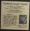 コールラビ（パープルヴィエナ）のタネ約100粒入り無農薬・無化学肥料・固定種たねの森【メール便可】