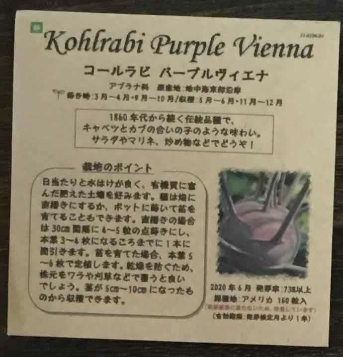コールラビ（パープルヴィエナ）のタネ約100粒入り無農薬・無化学肥料・固定種たねの森【メール便可】