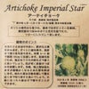 ラシネートケールのタネ約150粒入り無農薬・無化学肥料・固定種たねの森【メール便可】