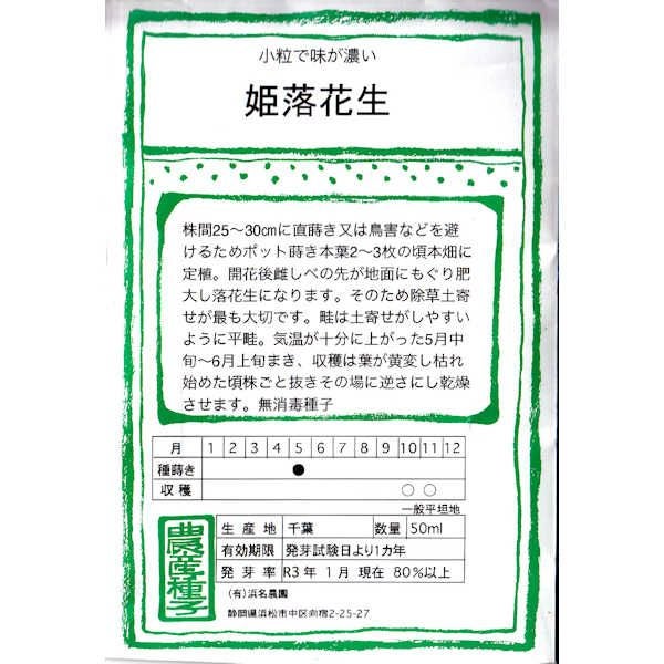 在来固定種野菜の種「大粒落花生」80ml〔約50粒〕畑懐〔はふう〕