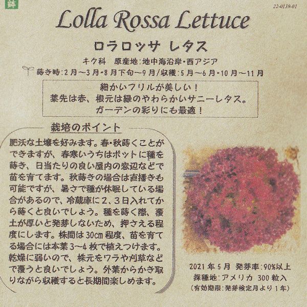 東京べか菜のタネ約500粒入り無農薬・無化学肥料・固定種たねの森【メール便可】