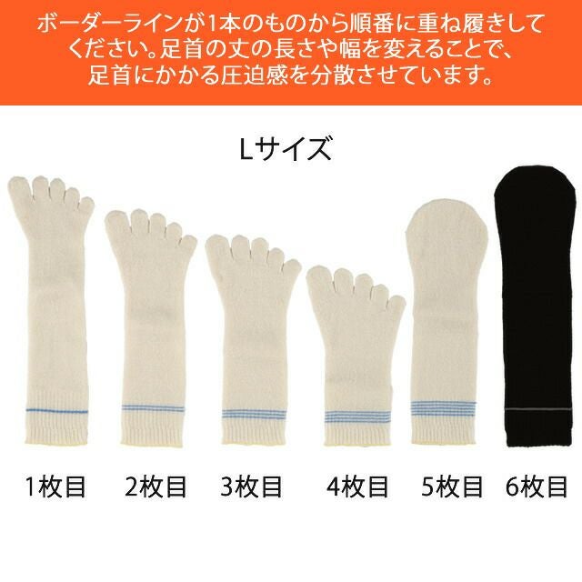 【送料無料】大法紡績健康組曲〔シルク&コットン〕6足組