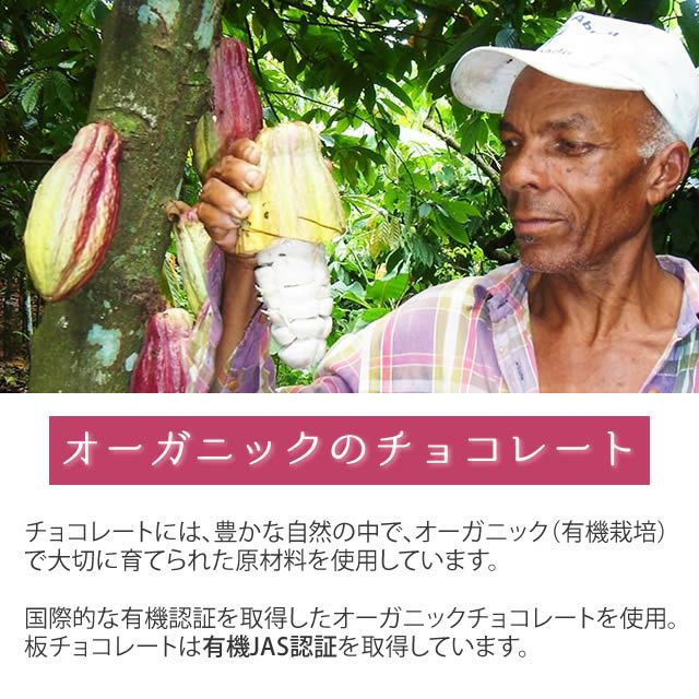 第3世界ショップArtisan有機ミルクチョコレート50g