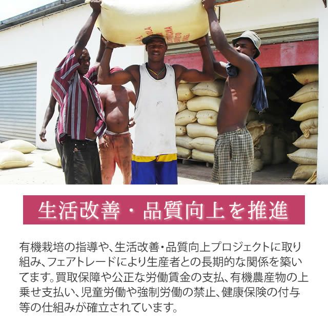 第3世界ショップArtisan有機ジンジャーレモンチョコレート50g