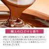第3世界ショップフェアトレードチョコレートビターチョコレート〔カカオ約55%〕100g