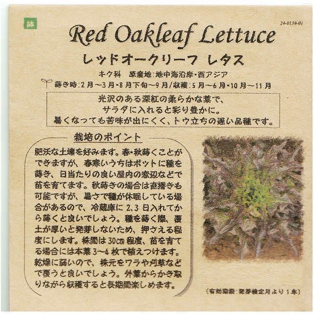 東京べか菜のタネ約500粒入り無農薬・無化学肥料・固定種たねの森【メール便可】