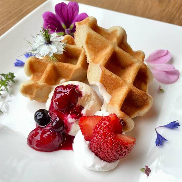 【新発売！】つきのいえ玄米粉ワッフル6個セット