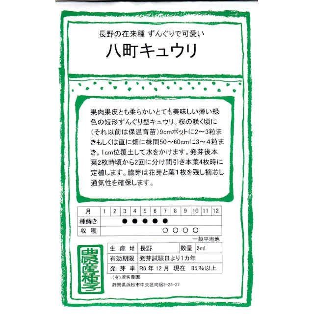 在来固定種野菜の種「ときわ地這きゅうり」2ml〔約40粒〕畑懐〔はふう〕