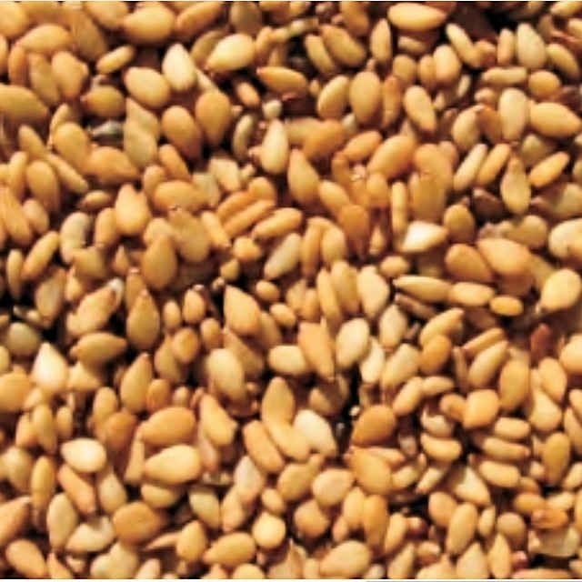 紫えんどうのタネ約30粒入り無農薬・無化学肥料たねの森【メール便可】