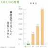 TAKEFUTAKEFUショートスリーブＴシャツ（Lady's）M-L【メール便可】