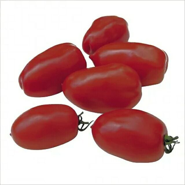 有機種子イタリアントマトサンマルツァーノの種12粒