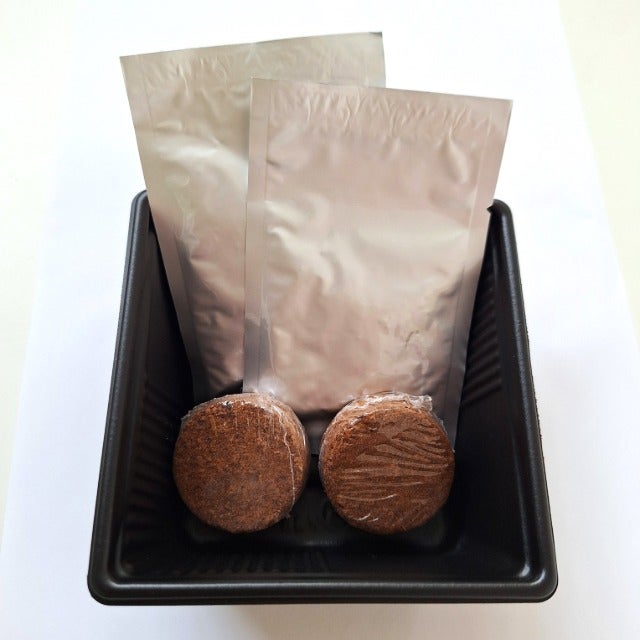 オーガニックねこ草栽培キット