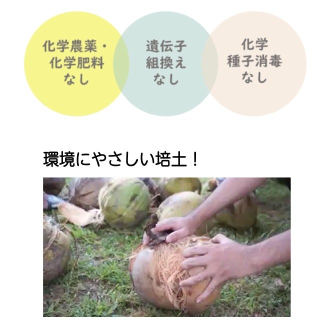 おうちでmini(ミニ)べジスタンドタイプ