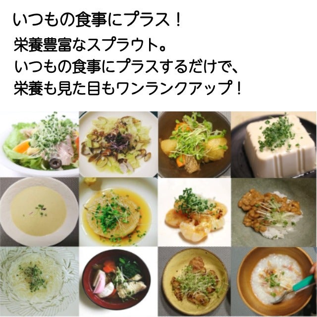 おうちでmini(ミニ)べジスタンドタイプ