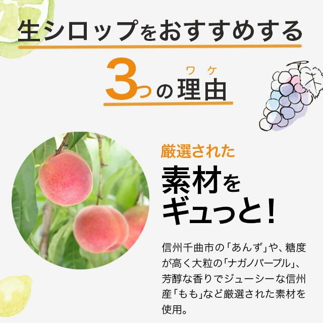 【5%OFF】天然フルーツのかき氷シロップ氷屋さんちの削氷〔けずりひ〕生シロップ業務用【巨峰】1ケース〔1kg×12袋入〕【冷凍】