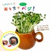 おうちでベジ～スプラウト栽培専用容器