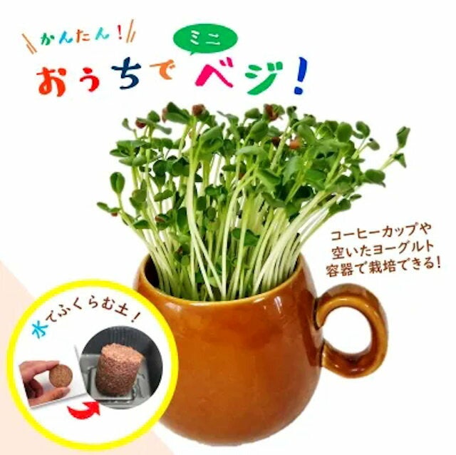 おうちでベジ～スプラウト栽培専用容器