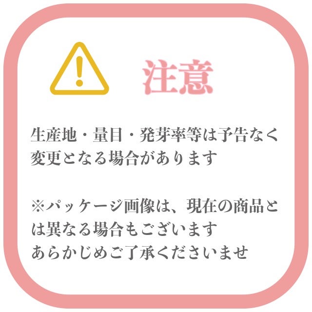 【国内採種/固定種】奥州玉葱(晩生)の種5ml(約800粒）畑懐〔はふう〕の種【メール便可】