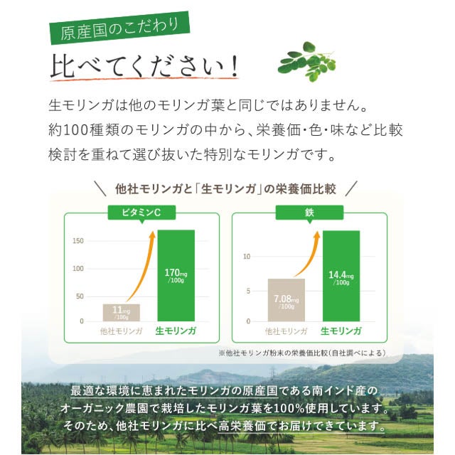 生モリンガパウダー90g【2点までメール便可】